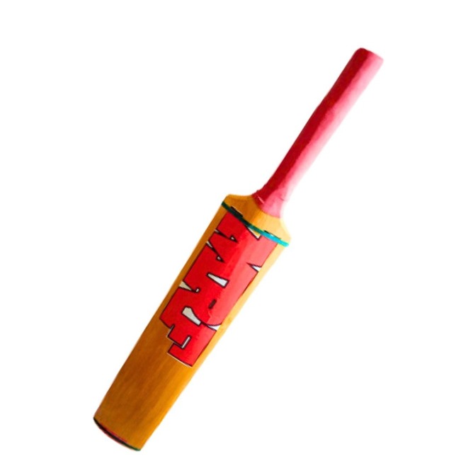 Soft Ball Cricket Bat