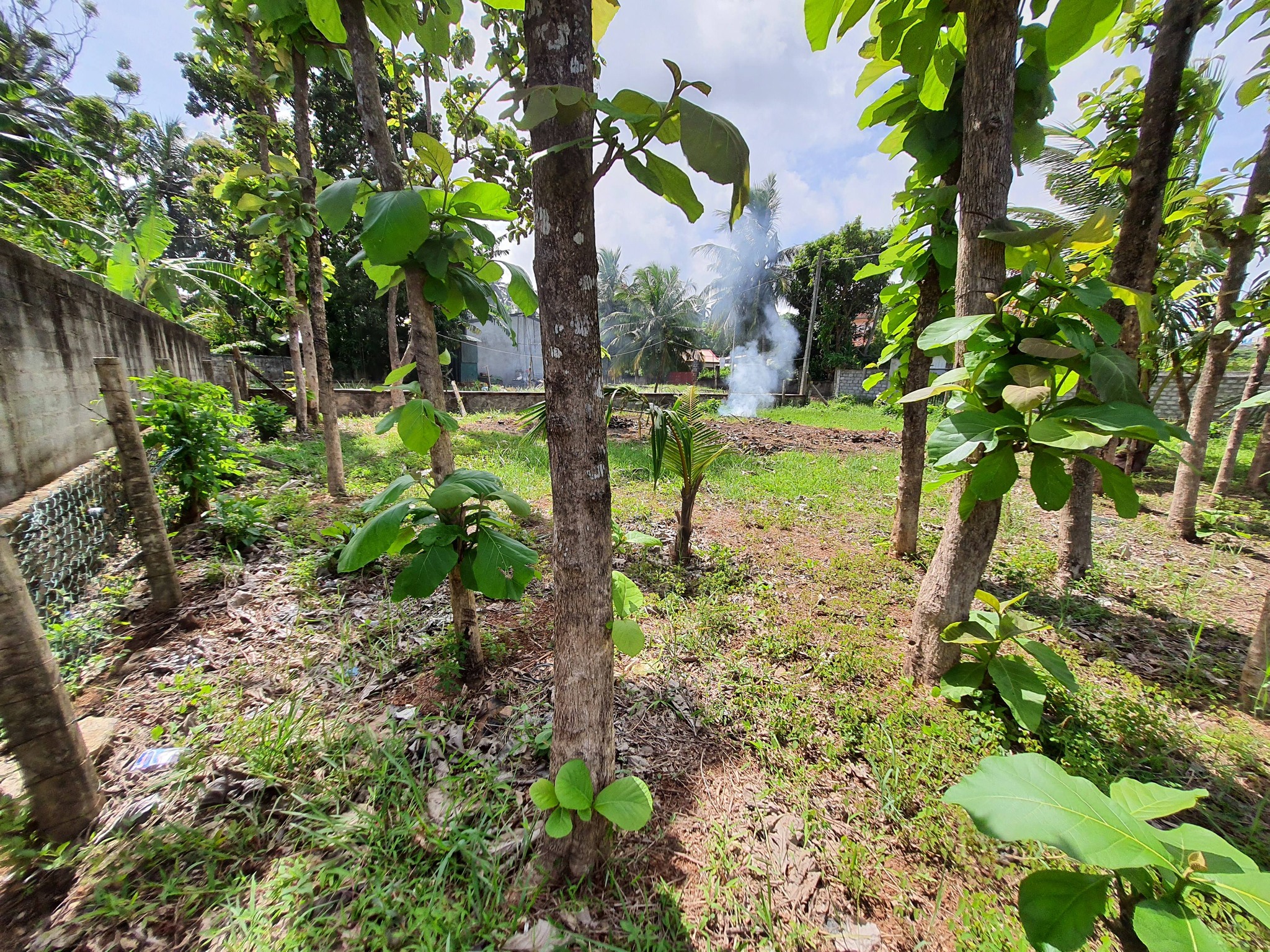land for SALE.Janapadamawatha, Daluwakotuwa. 0718470679