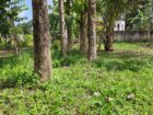 land for SALE.Janapadamawatha, Daluwakotuwa. 0718470679