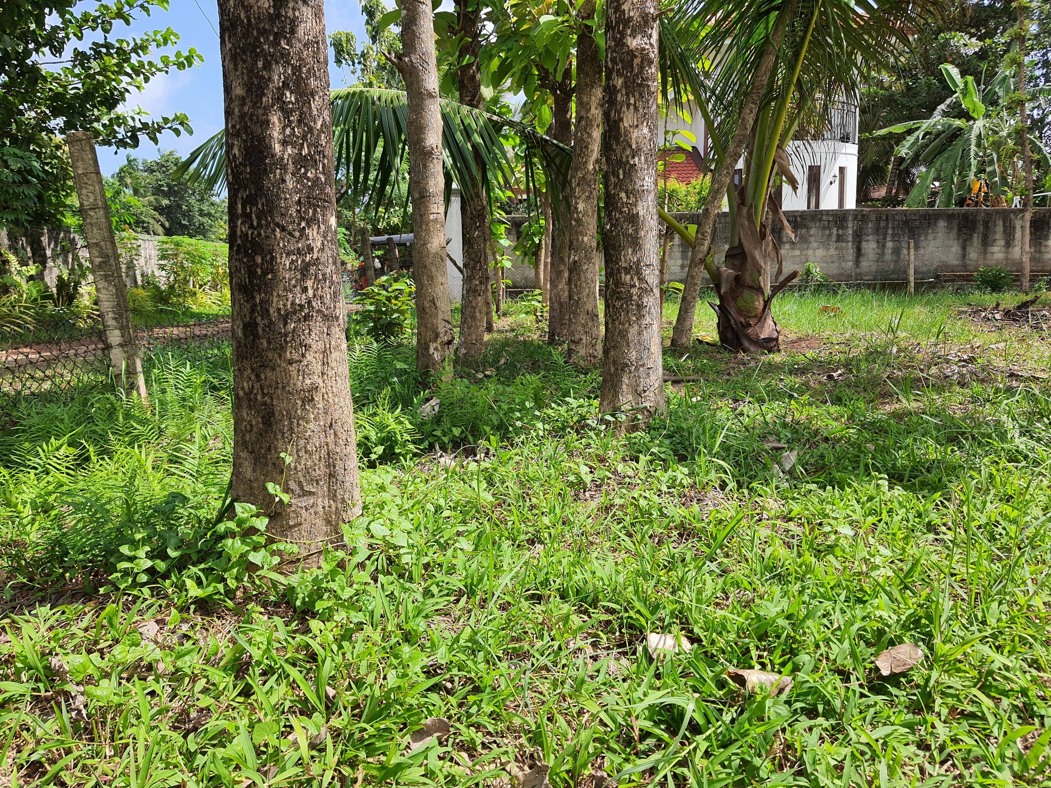 land for SALE.Janapadamawatha, Daluwakotuwa. 0718470679