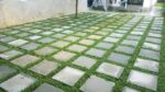 We do undertake all types of Landscaping all & plants wholesale