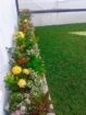 We do undertake all types of Landscaping all & plants wholesale