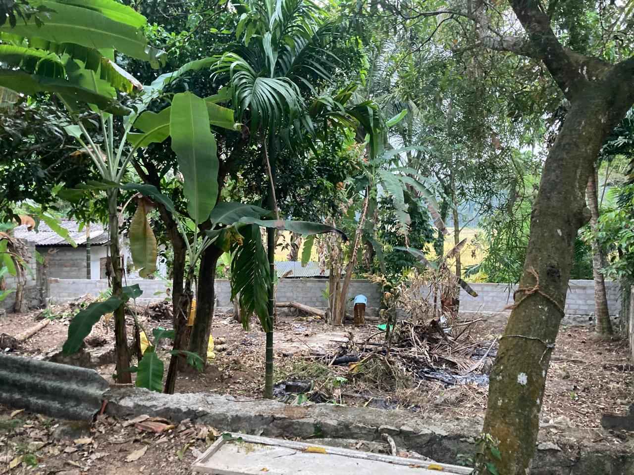 Land for sale in Yakkala