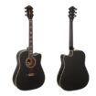“Swift Horse” 41 inch Acoustic Guitar BL280