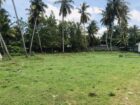 කොච්චිකඩේ හේන්මුල්ල ප්‍රදාන පාරට මුහුණලා පර්චස් 33ක ඉඩමක් විකීනිමට…