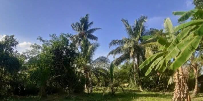 📢 කටුපොත නගරයට ඉතා ආසන්නයෙන් වටිනා ඉඩමක් විකිණීමට ඇත.