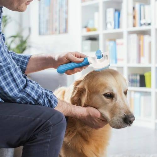 Pet grooming Brush