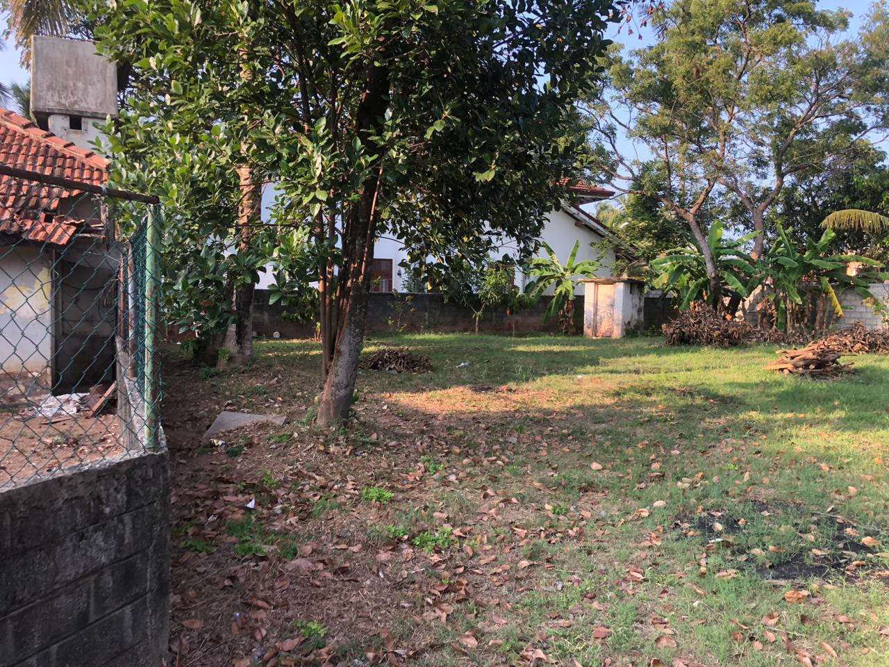 LAND SALE – NEGOMBO KUDAPADUWA