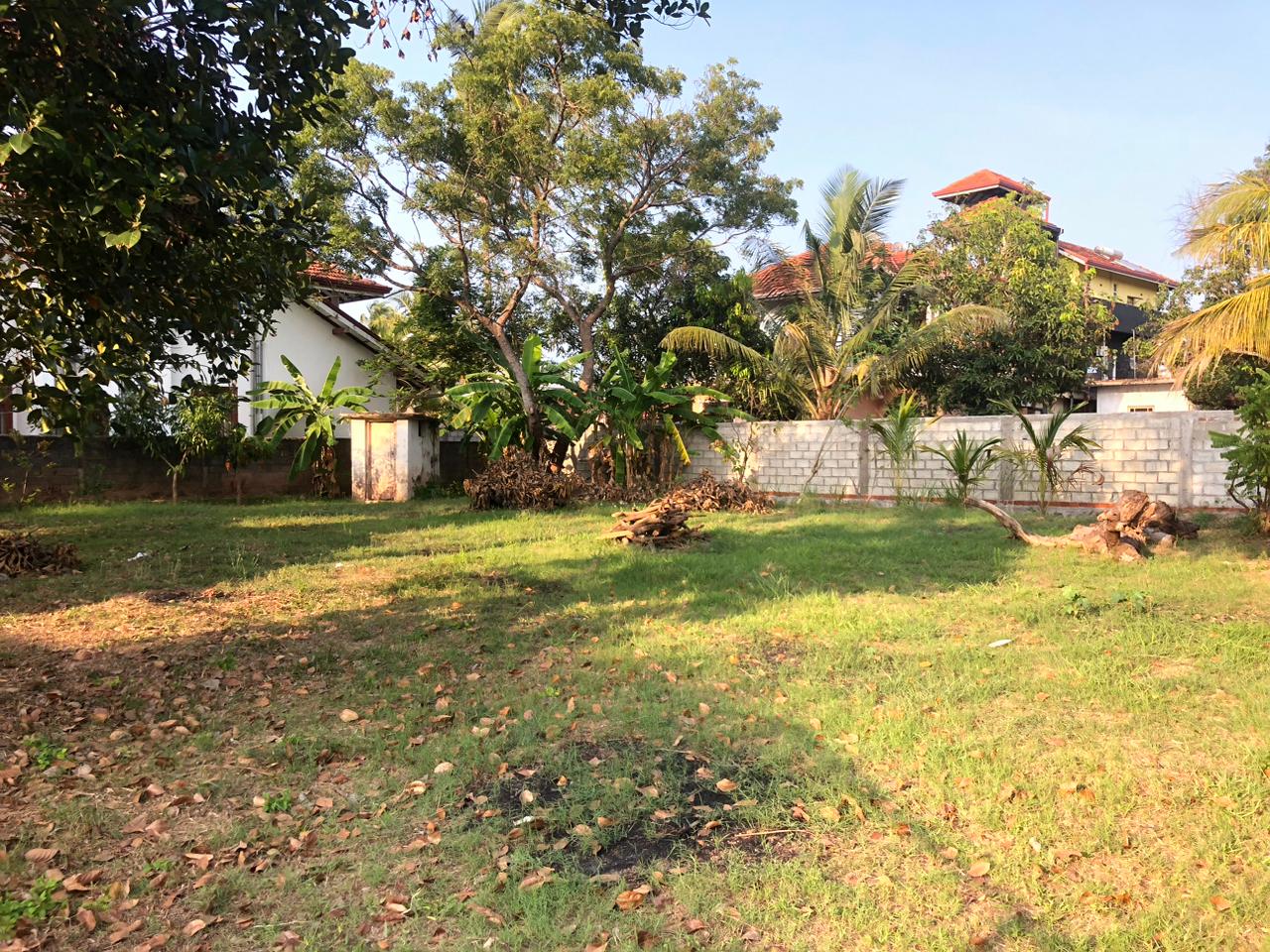 LAND SALE – NEGOMBO KUDAPADUWA