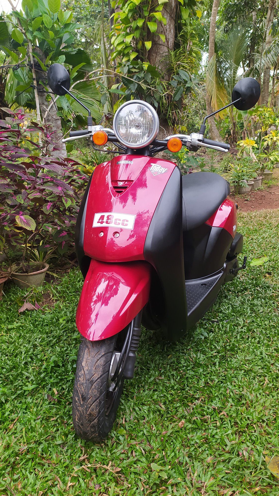 48cc බයික් විකිණීමට ඇත 🇯🇵