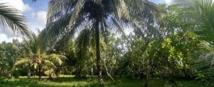 📢 කටුපොත නගරයට ඉතා ආසන්නයෙන් වටිනා ඉඩමක් විකිණීමට ඇත.