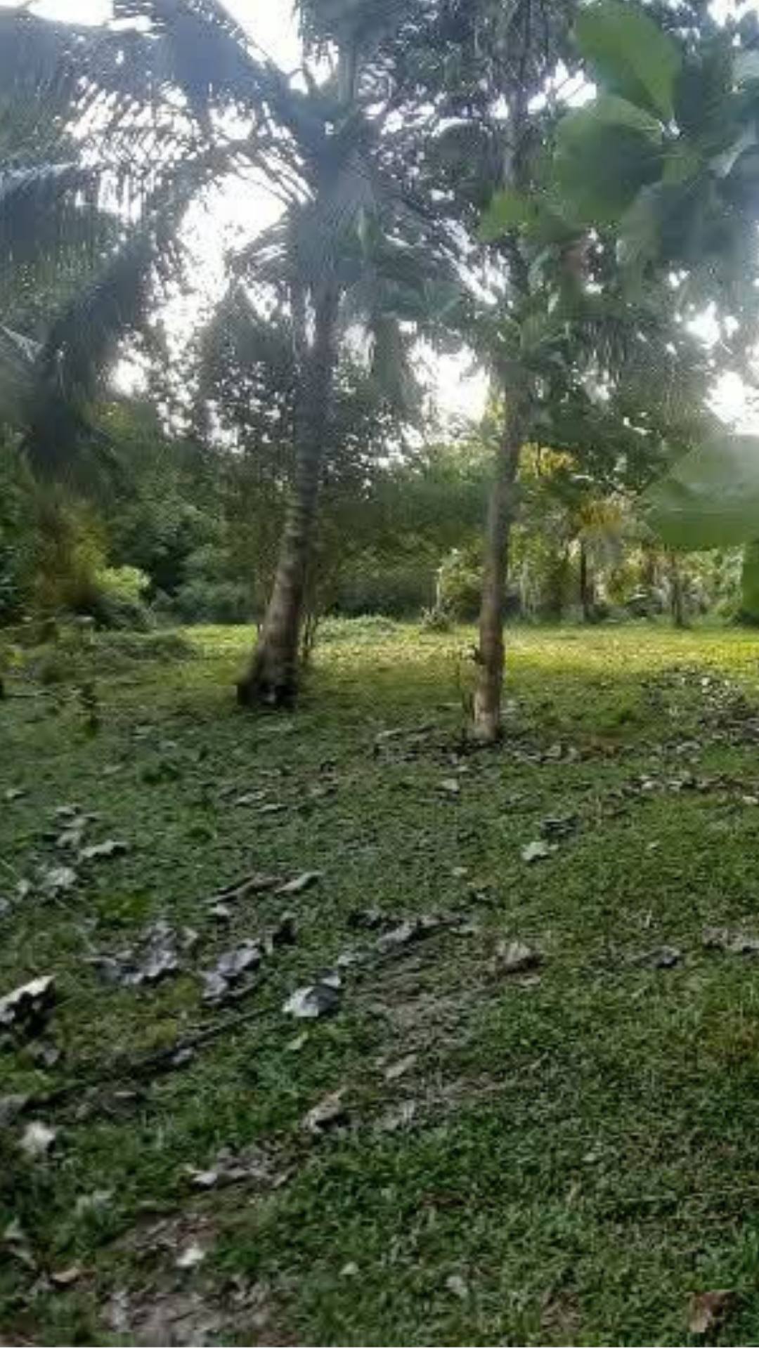 📢 කටුපොත නගරයට ඉතා ආසන්නයෙන් වටිනා ඉඩමක් විකිණීමට ඇත.