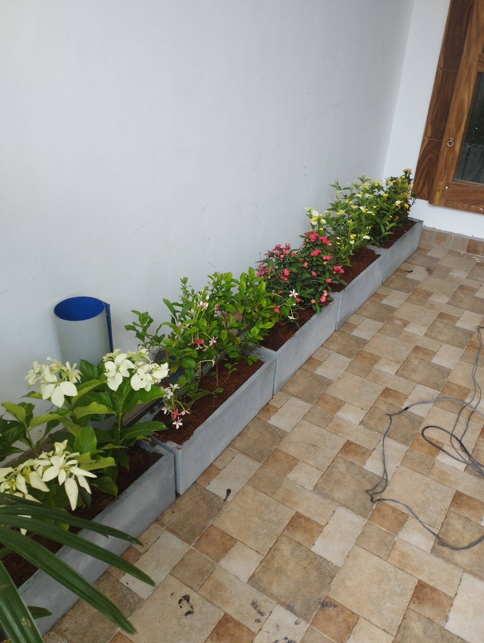 all types of Landscaping all & plants wholesale