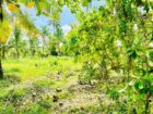Lunuwila /wennappuwa පර්චස් 30ක් විකිනිමට ඇත
