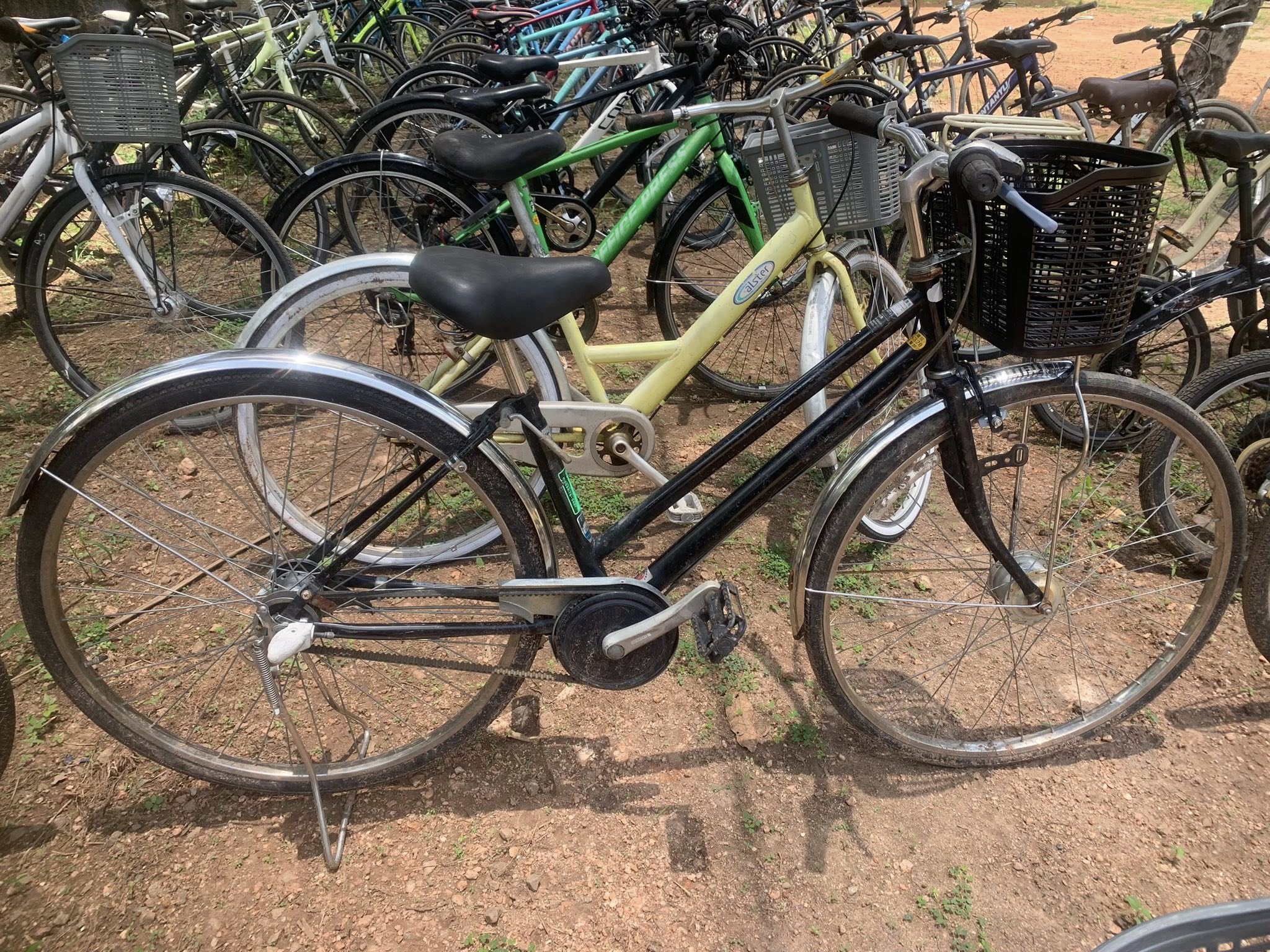 ladies bicycles