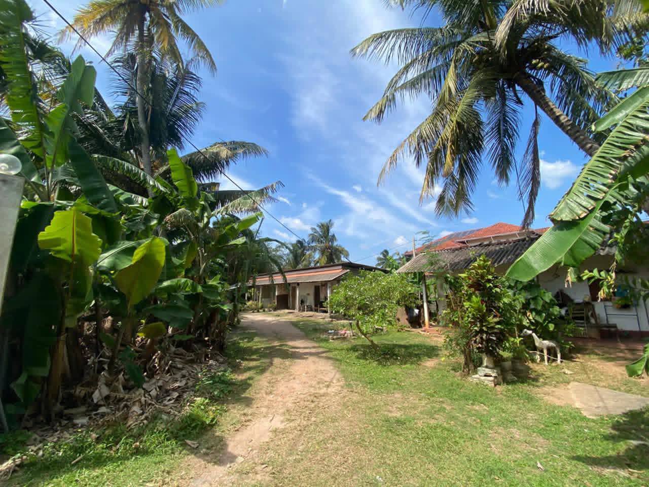 Negombo, Kurana 25 Perches Land එකක් විකිණීමට