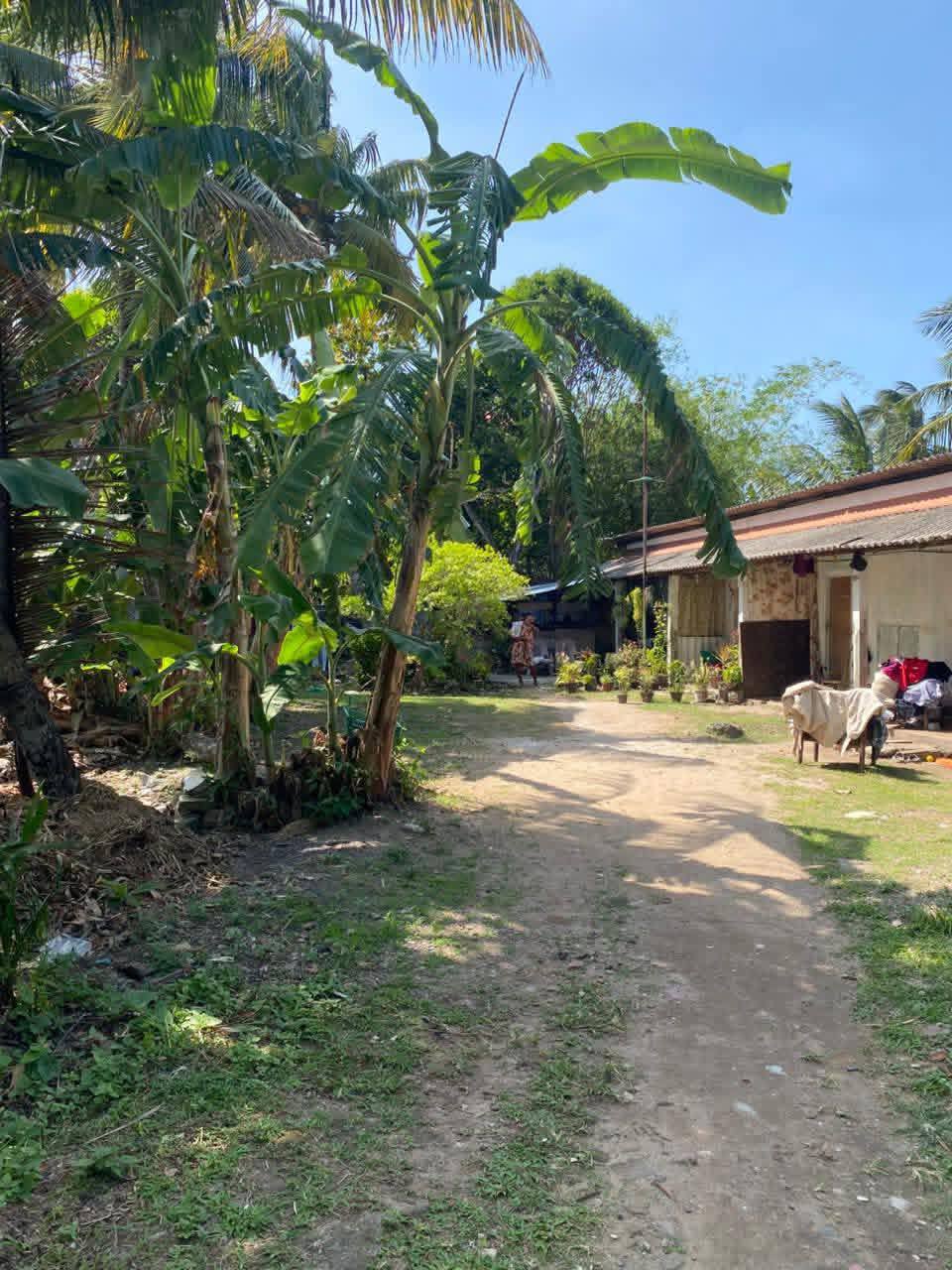 Negombo, Kurana 25 Perches Land එකක් විකිණීමට