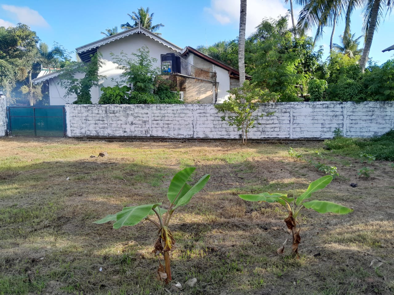 Negombo Land for Sale.