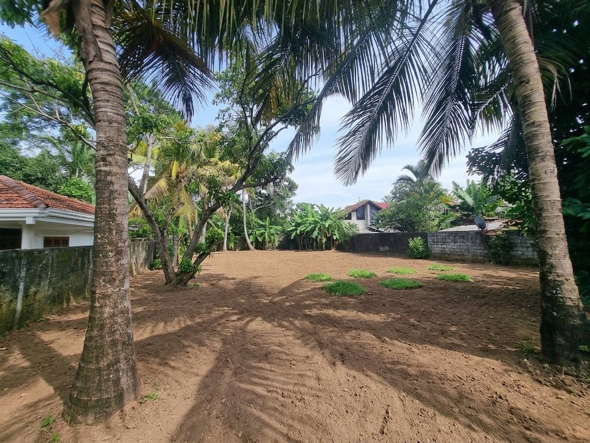 Land for Sale in Katuwapitiya (Near Y Junction)