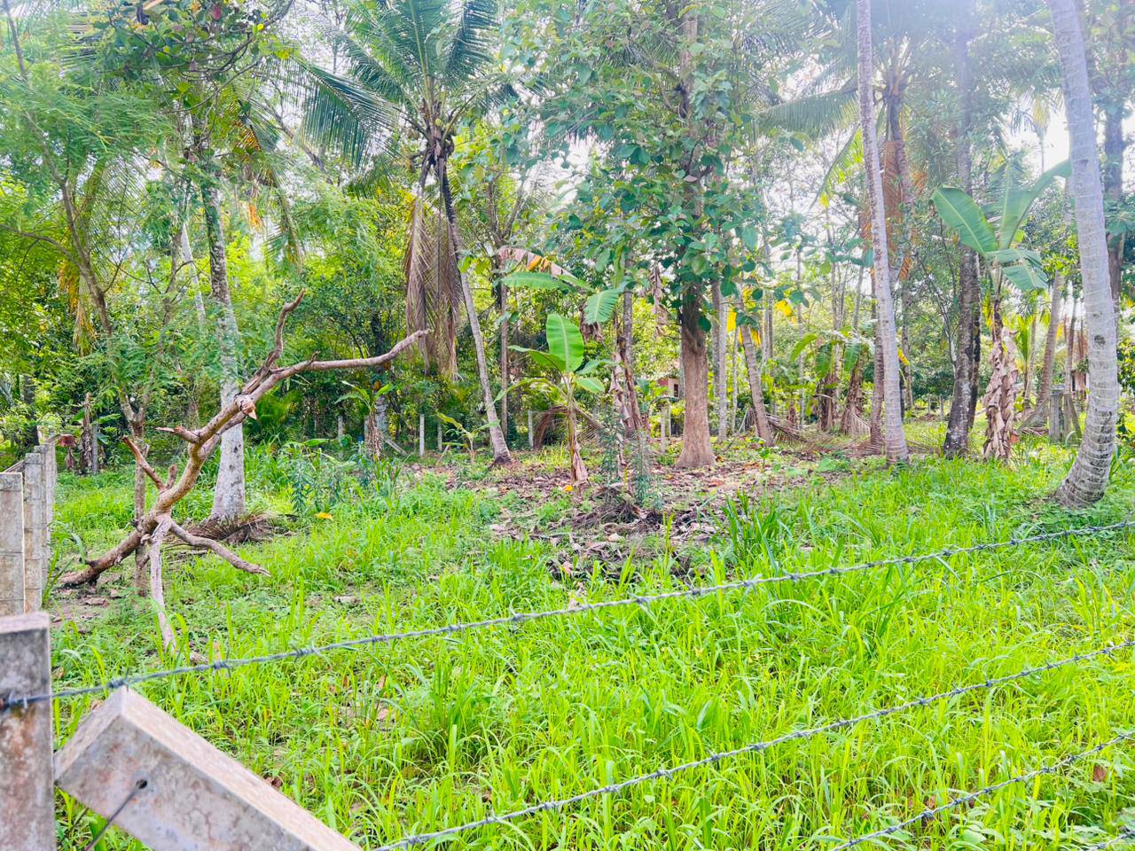 දාගොන්න – මීගමු පාරේ තොටිල්ල ගහ වත්ත පාරේ අයිනේ සිට දෙවෙනි කොටසේ පර්චස් 15ක් වටිනා ඉඩමක් විකිණිමට ඇත.