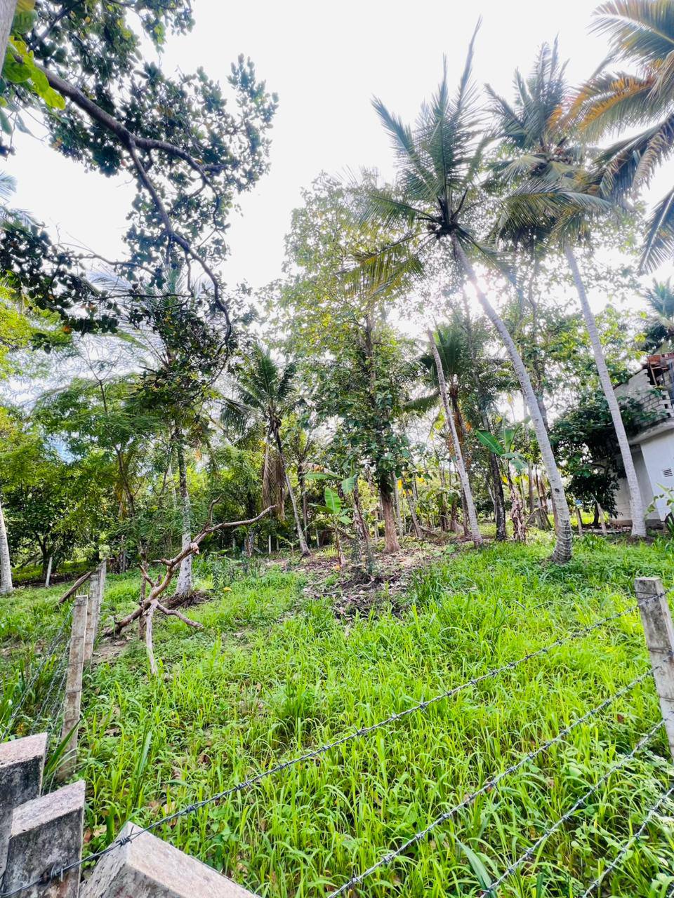 දාගොන්න – මීගමු පාරේ තොටිල්ල ගහ වත්ත පාරේ අයිනේ සිට දෙවෙනි කොටසේ පර්චස් 15ක් වටිනා ඉඩමක් විකිණිමට ඇත.