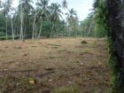 වේයන්ගොඩ කටුනායක ප්‍රධාන මාර්ගයට 60M දුරින් අගනා ඉඩම විකිණීමට…