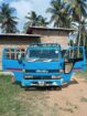 Isuzu elf 250