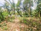 මිනුවන්ගොඩ ප්‍රදේශයේ මැඩෑමුල්ල ‎ පන්සල පාරෙන් වටිනා නේවාසික බිම් කොටසක් විකිනීමට .