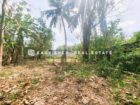 මිනුවන්ගොඩ ප්‍රදේශයේ මැඩෑමුල්ල ‎ පන්සල පාරෙන් වටිනා නේවාසික බිම් කොටසක් විකිනීමට .
