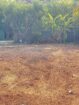 Residential Land For Sale In Negombo In Sri Lanka