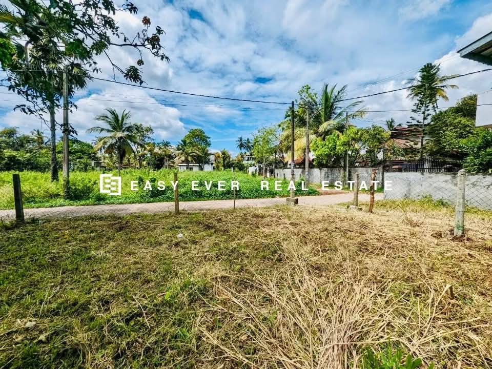 ජා ඇළ නගරයෙන් වටිනා ඉඩමක් කඩිනමින් විකිණීමට