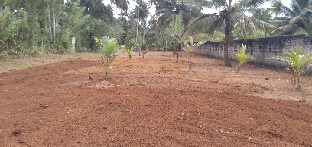 මඩමිපැල්ල අකරගම ප.ර්.40 අගනා ඉඩමක් ඉක්මනින් විකිනීමට ඇත..