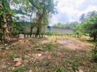 මිනුවන්ගොඩ ප්‍රදේශයේ මැඩෑමුල්ල ‎ පන්සල පාරෙන් වටිනා නේවාසික බිම් කොටසක් විකිනීමට .