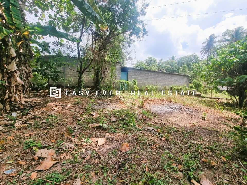 මිනුවන්ගොඩ ප්‍රදේශයේ මැඩෑමුල්ල ‎ පන්සල පාරෙන් වටිනා නේවාසික බිම් කොටසක් විකිනීමට .
