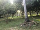 මාරවිල අක්කර 2 ක් විකිණීමට.