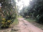 මාරවිල අක්කර 2 ක් විකිණීමට.