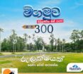 මීගමුවෙන් කඩවල හන්දියට ආසන්නයෙන් ඔබේ සිහින නිවස ඉදි කිරීමට අගනා බිම් කොටස්