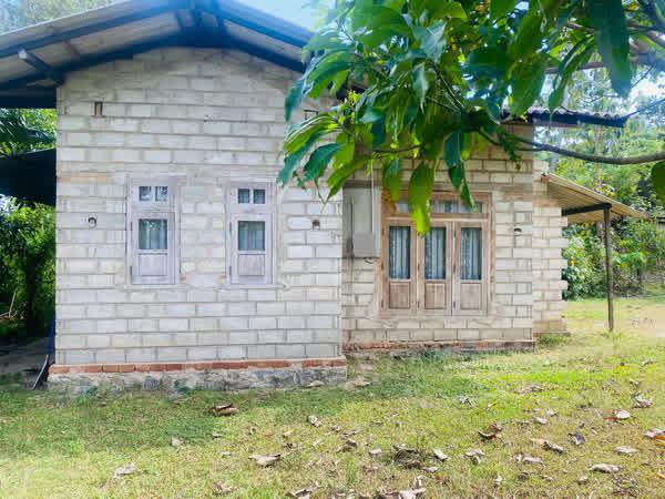 කටාන – දෙල්ගස්හන්දියේ අගනා ඉඩමක් සහ නව නිවසක් විකිණීමට