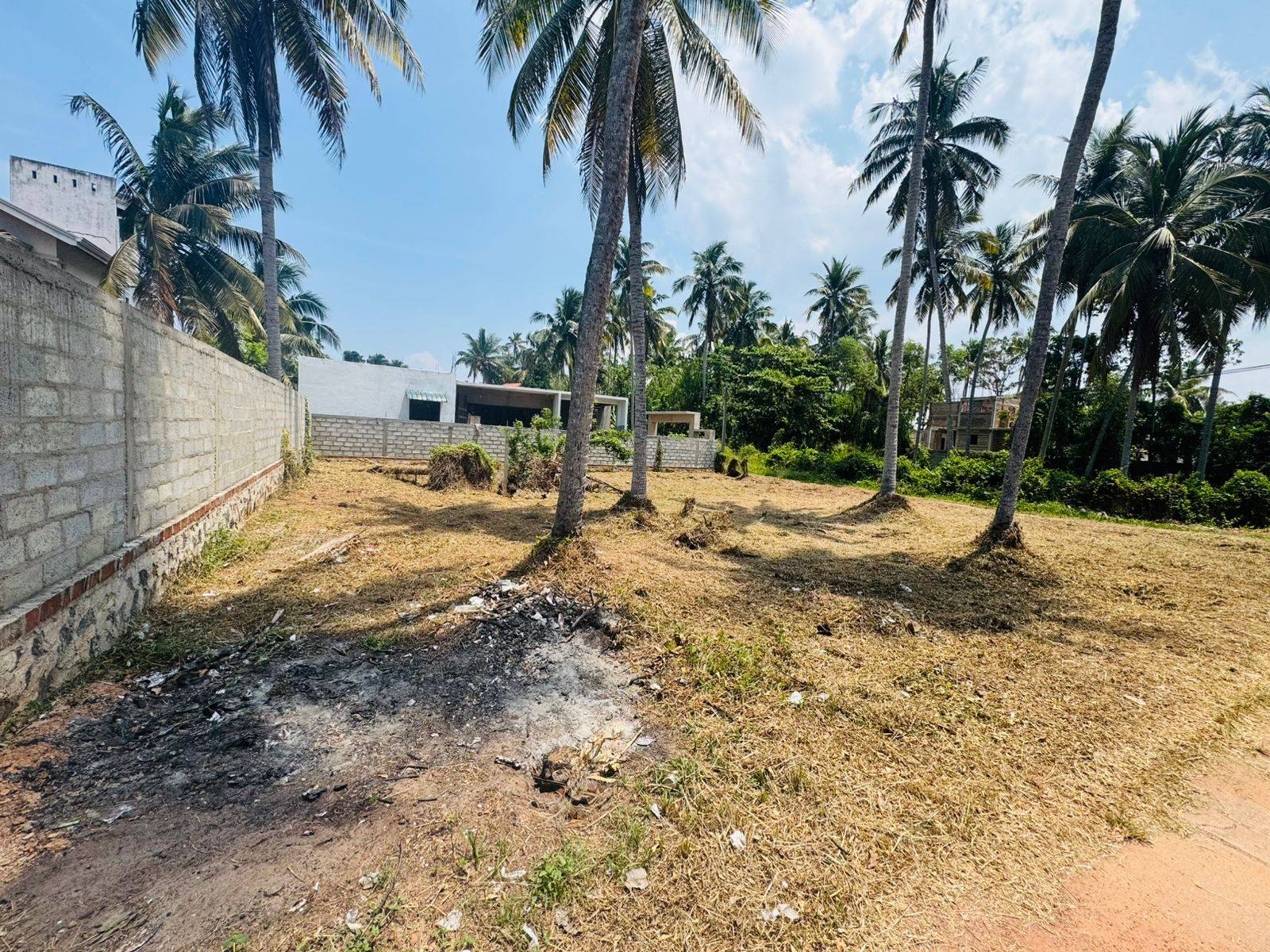 කටුවාපිටිය ( දොං ඩේවිඩ් මාවත)පර්චස් 15 නිවසක් ඉදිකිරීමට හෝ ආයෝජනයකට සුදුසුයි…