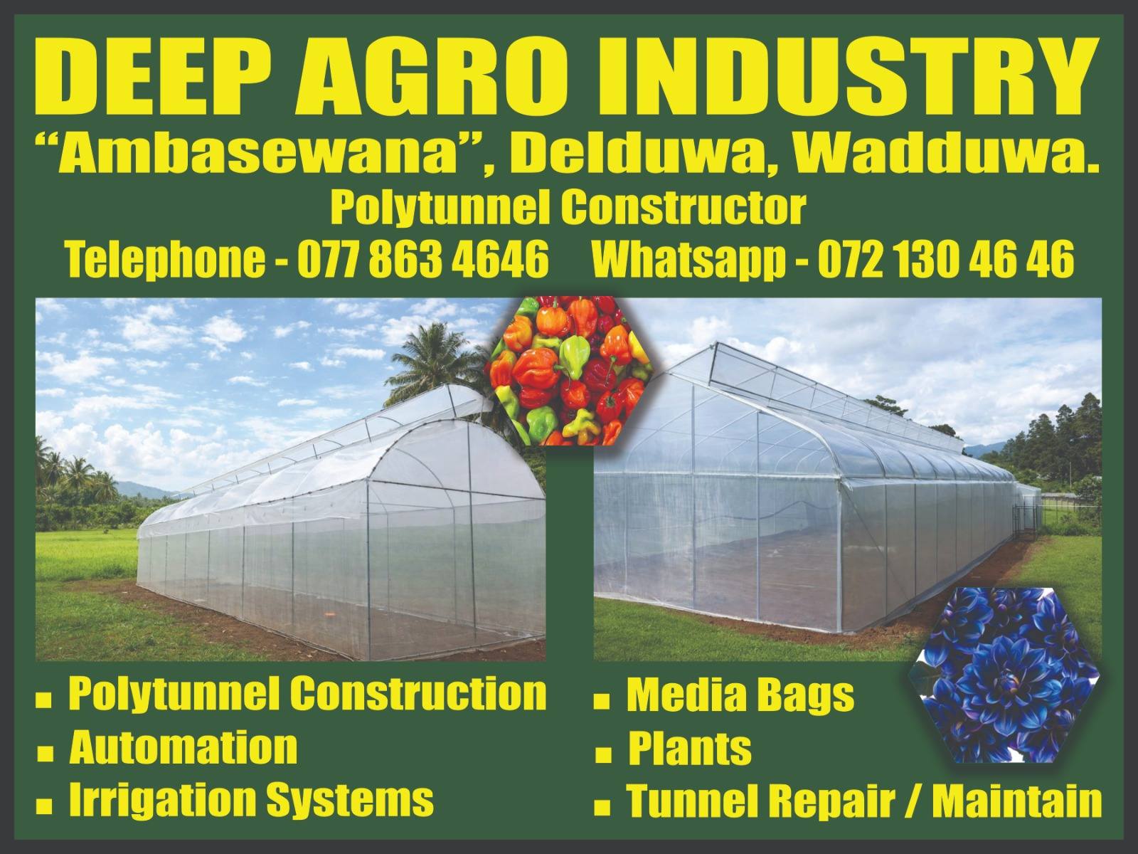 Hydroponic Units