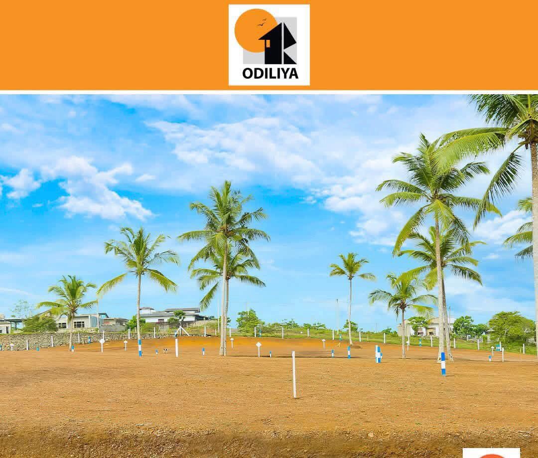 මීගමුවෙන් කඩවල හන්දියට ආසන්නයෙන් ඔබේ සිහින නිවස ඉදි කිරීමට අගනා බිම් කොටස්