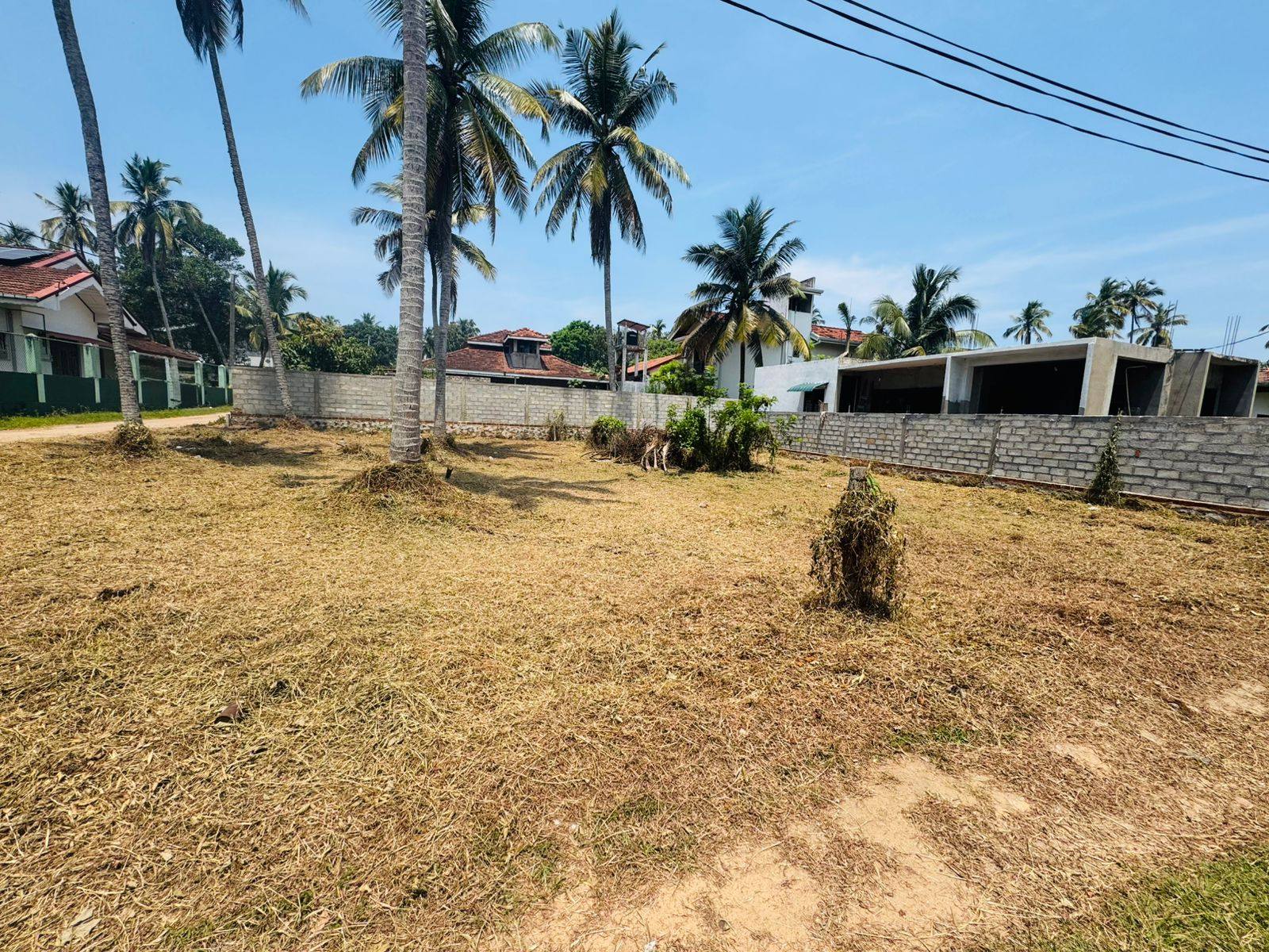 කටුවාපිටිය ( දොං ඩේවිඩ් මාවත)පර්චස් 15 නිවසක් ඉදිකිරීමට හෝ ආයෝජනයකට සුදුසුයි…