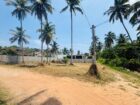 කටුවාපිටිය ( දොං ඩේවිඩ් මාවත)පර්චස් 15 නිවසක් ඉදිකිරීමට හෝ ආයෝජනයකට සුදුසුයි…