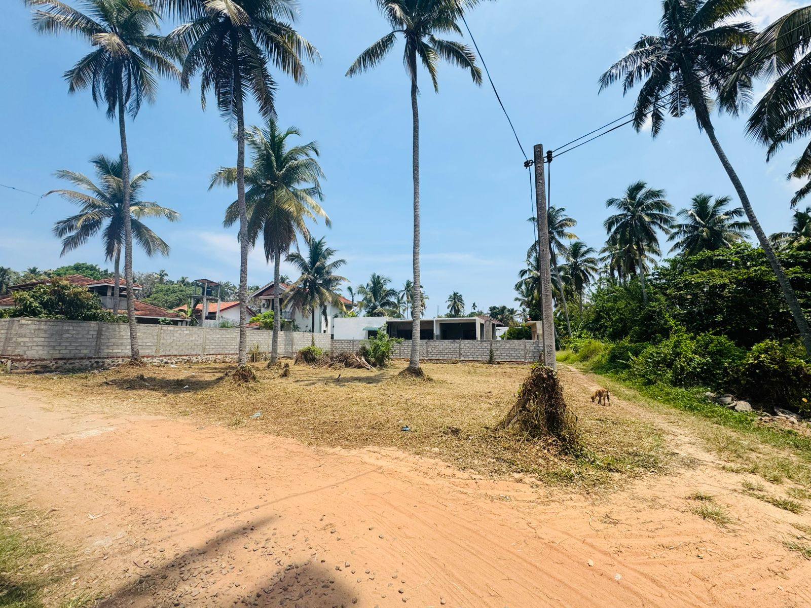 කටුවාපිටිය ( දොං ඩේවිඩ් මාවත)පර්චස් 15 නිවසක් ඉදිකිරීමට හෝ ආයෝජනයකට සුදුසුයි…