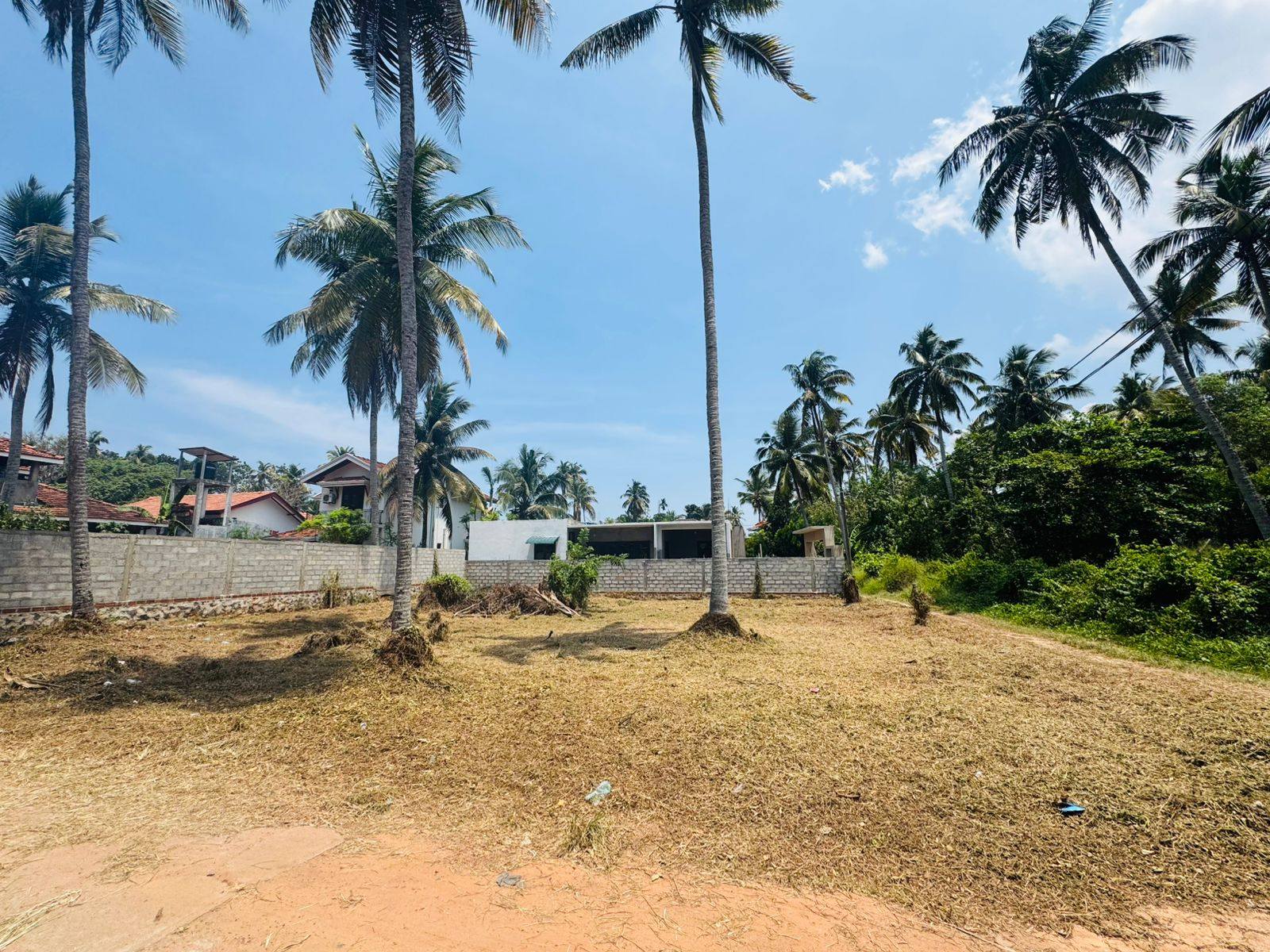 කටුවාපිටිය ( දොං ඩේවිඩ් මාවත)පර්චස් 15 නිවසක් ඉදිකිරීමට හෝ ආයෝජනයකට සුදුසුයි…