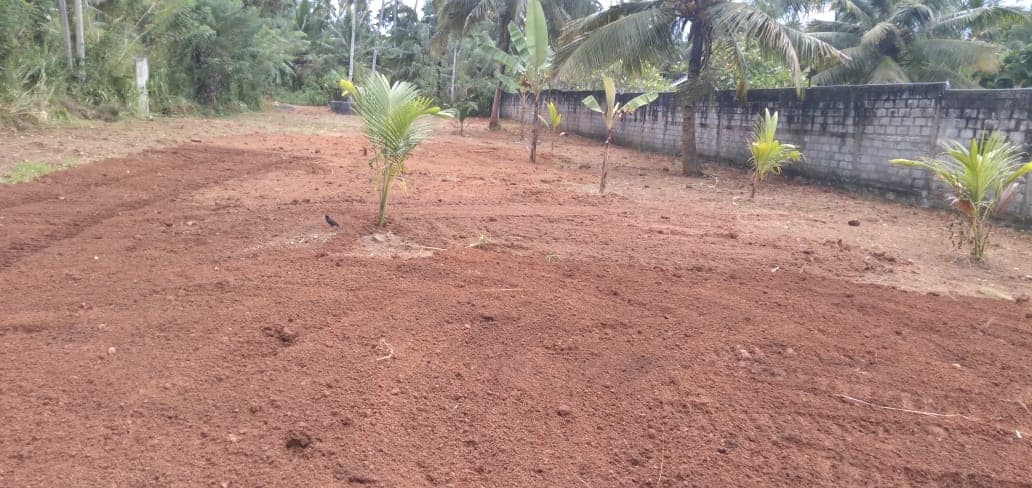 මඩමිපැල්ල අකරගම ප.ර්.40 අගනා ඉඩමක් ඉක්මනින් විකිනීමට ඇත..