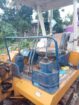 scavator:Comatsu 30 dash 05..විකිණීමට ඇත