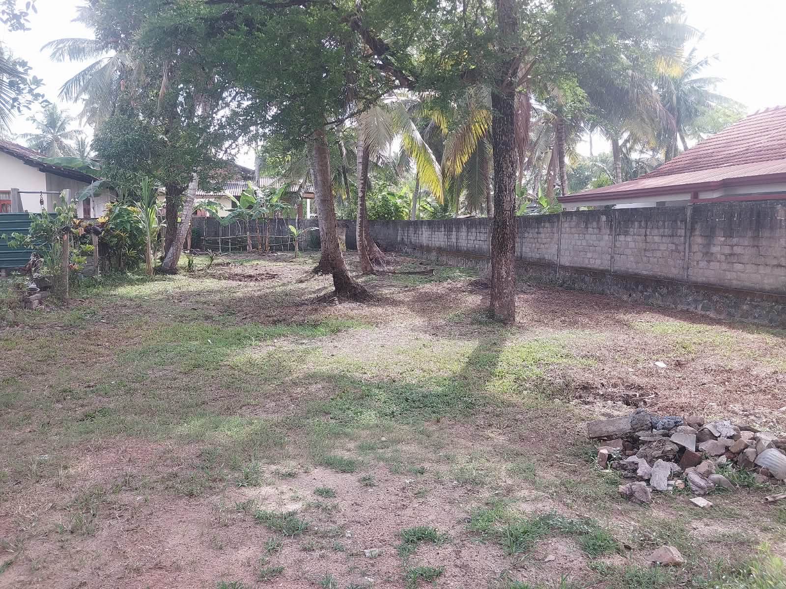 Land for Sale Demanhandiya, Negombo.