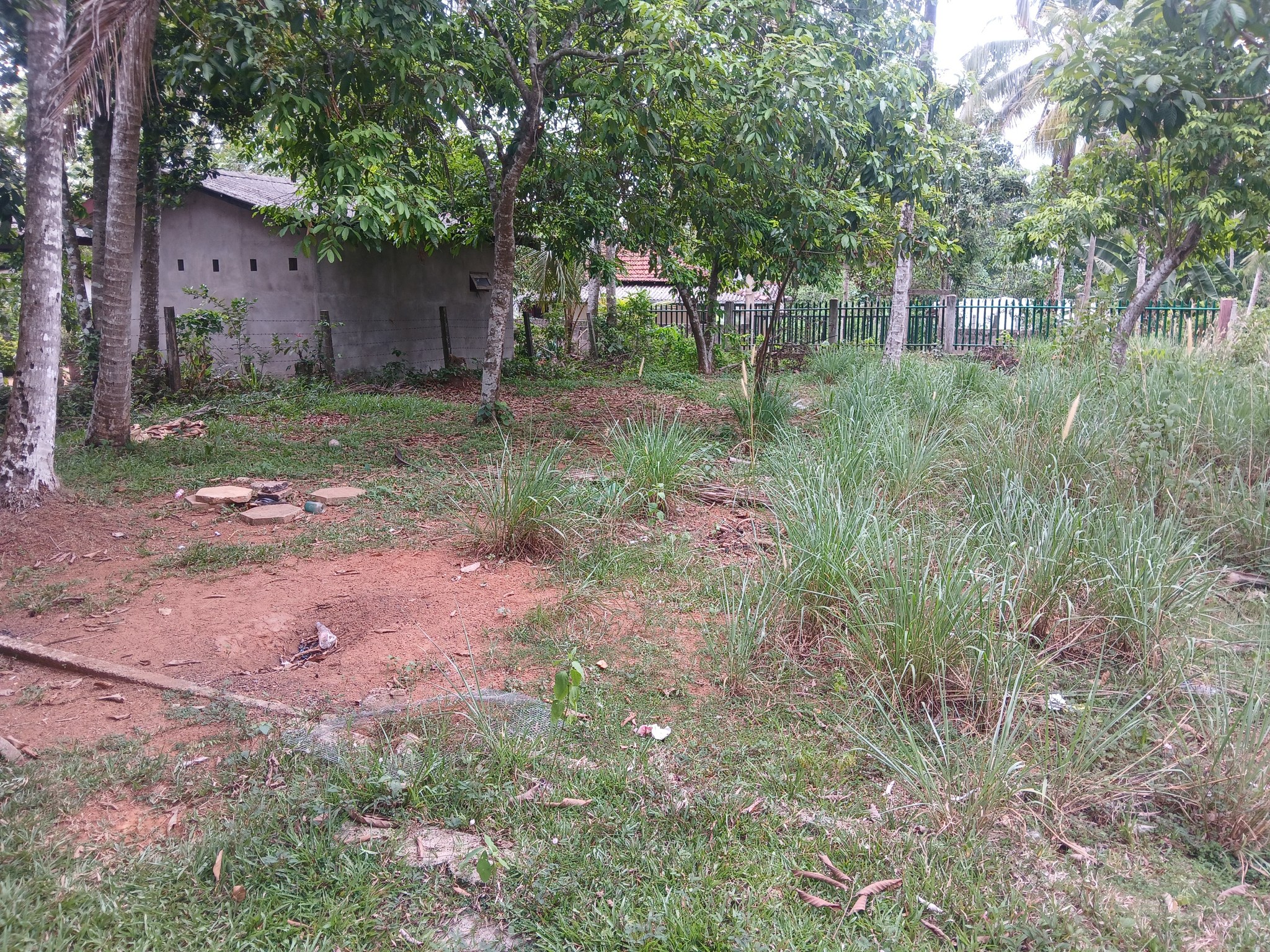 මිනුවන්ගොඩ නගර සභා සීමාවේ වැල්හේන ප්‍රදේශයෙන් පර්චස් 13ක ඉතා අගනා බිම් කොටසක් විකිණීමට ඇත.
