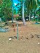 මූදූකටුව,මාරවිල නගරයෙන් අගනා ඉඩමක්
